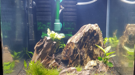 aquarium Shrimp Cube 30L