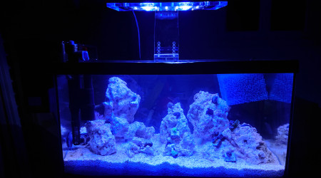 Pico Reef 30L
