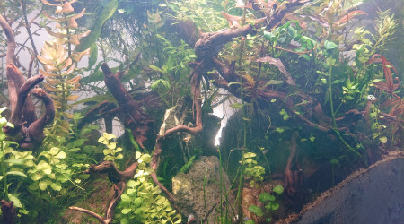 Le chemin de la falaise .