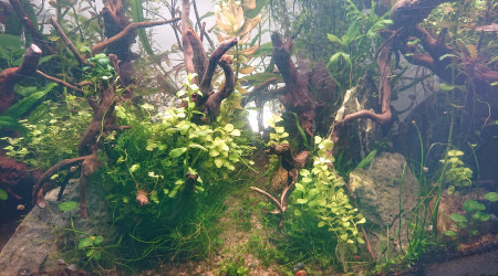 Le chemin de la colline