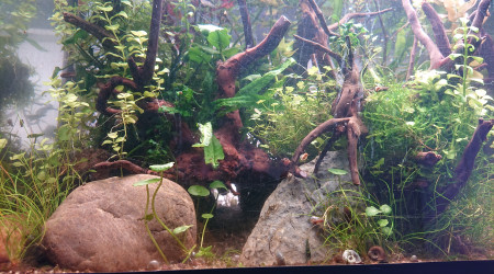 Le chemin de la grotte