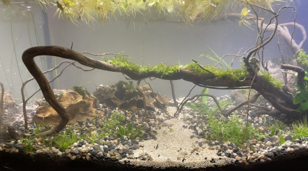 Évolution Killi Watch - 60l sol technique