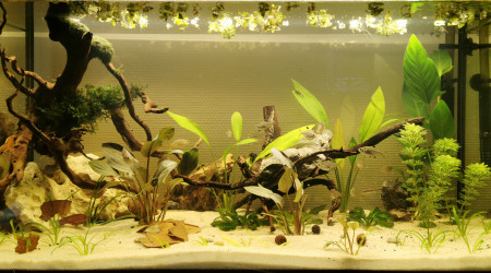 aquarium Cuve nue 120L