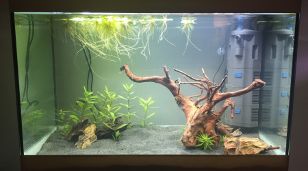 aquarium New aqua