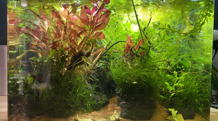 Évolution après 5 mois