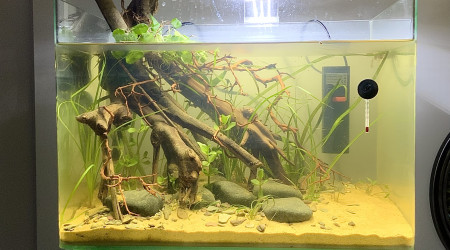 Il s’éclaircit bien !