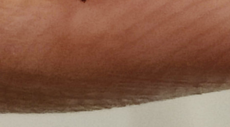 Des locataires inattendus