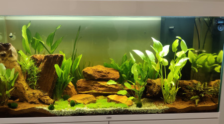 Ajout du Co2, Thermomètre pour contrôler le tout :)