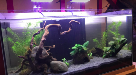 60L - En cours de cyclage ...