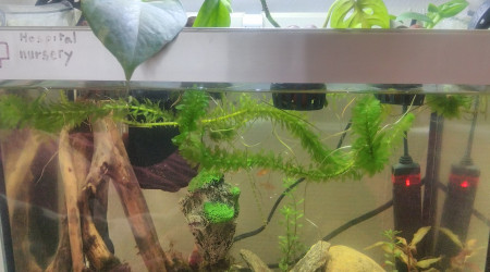 aquarium 30lowcostech