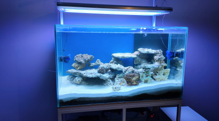 aquarium bac eau de mer