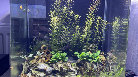 aquarium Nano 20L