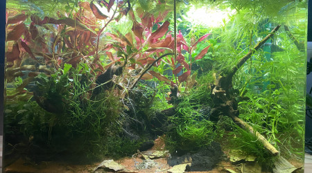 Changement de décor