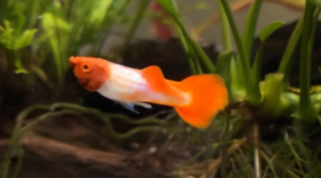 Ça continue d’évoluer ?