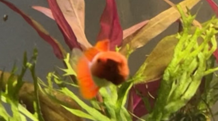 Ça continue d’évoluer ?