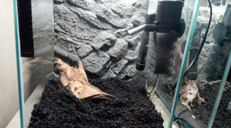 Mise en place (côté)