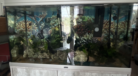 aquarium Aqua 200l