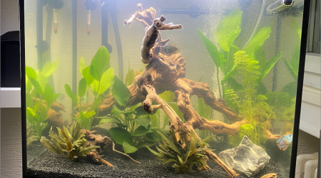 aquarium Aquatlantis 120L