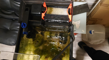 Aération de l'eau du bac .