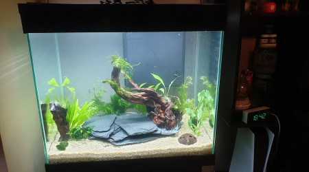 aquarium 108l