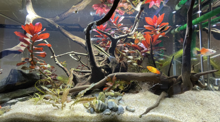 Clichés avant mise en route Co2 artisanal