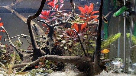 Ajout CO2 artisanal levures+gel