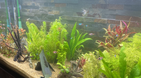 aquarium Aquarium 200L