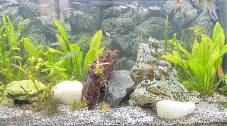 aquarium BAC 180L