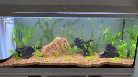 aquarium 120L