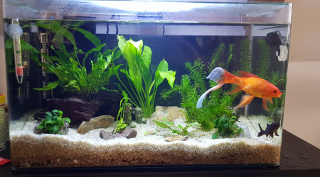 Renouvellement d'eau