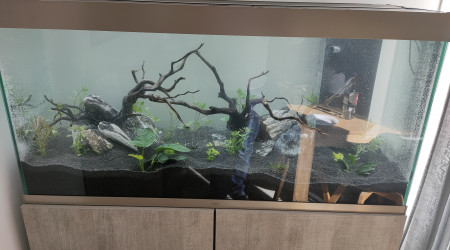 aquarium Ciano