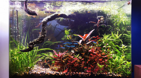 1 an après la réfection, tout va bien !