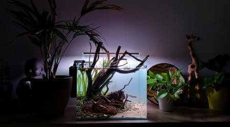 aquarium Terraqua