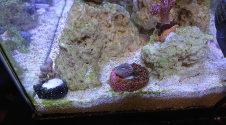 En cours d'acclimatation