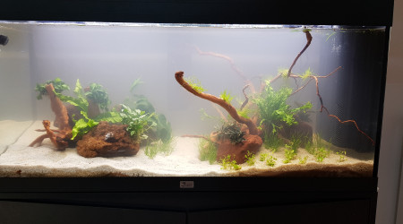 Lendemain de la mise en eau