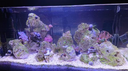 Le bac 2h avant l'extinction de la rampe