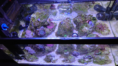 Le bac 2h avant l'extinction de la rampe