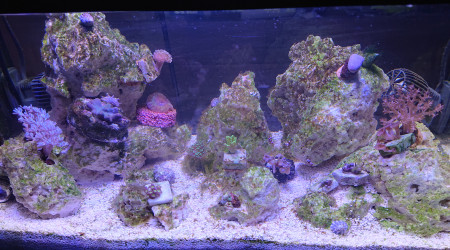 Le bac 2h avant l'extinction de la rampe