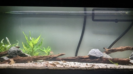 aquarium 300L