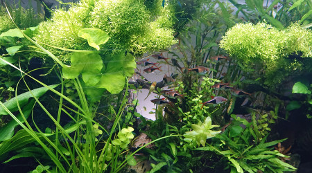 Zoom sur le point de fuite en couleur naturelle