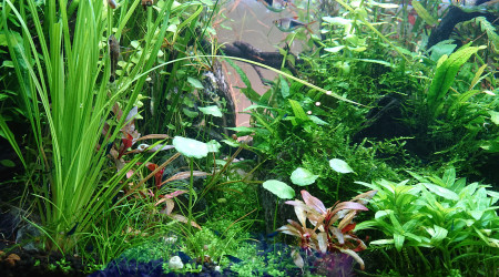 Le point de fuite en couleur naturelle