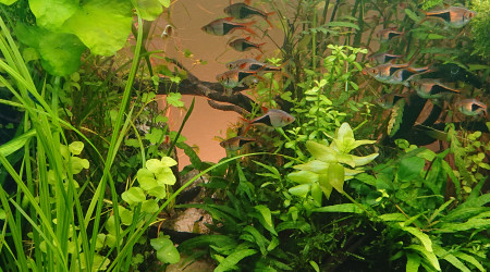 Zoom sur le point de fuite