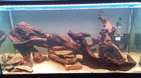 Hardscape provisoire