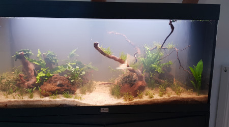 Renouvellement d'eau