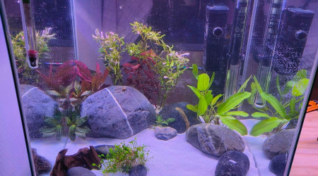 aquarium Nano