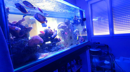 Samedi changement d'eau ?