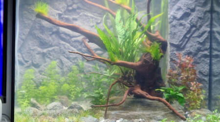 1er jour le 17 février 2023