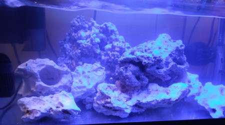 Ajout de pierre vivante