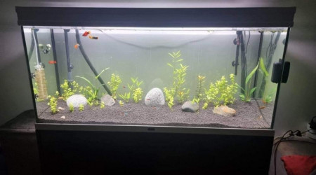 aquarium aqualantils