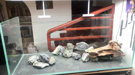 Hard scape et mise en eau